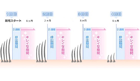 Epilation schedule