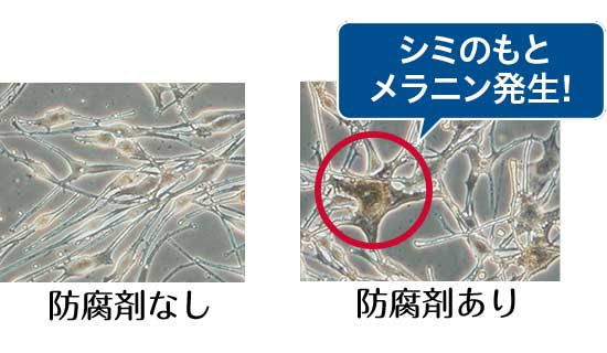 化粧品に防腐剤ありなしのテスト