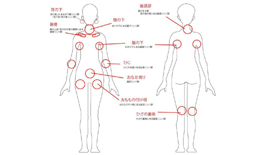 全身に分布しているリンパ節