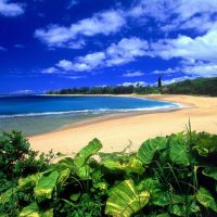Kauai beach in Hawaii