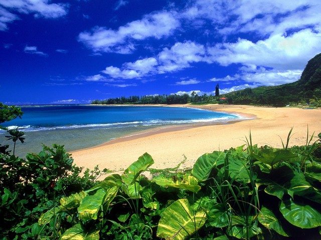 Kauai beach in Hawaii